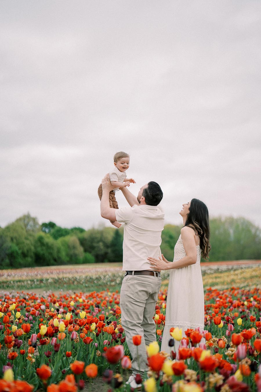 A joyful family moment in a vibrant tulip field, with a father lifting his child as the mother looks on happily.