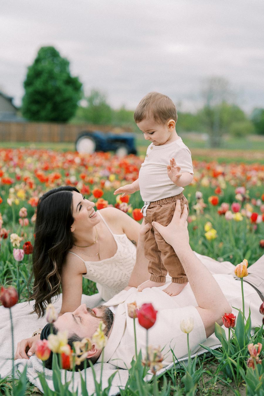 A joyful family moment in a vibrant tulip field, with a man lying on a blanket holding a toddler, and a woman smiling at them.