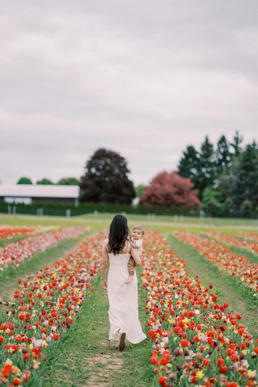 A woman carrying a baby walks through a vibrant tulip field, surrounded by rows of colorful flowers under a cloudy sky.