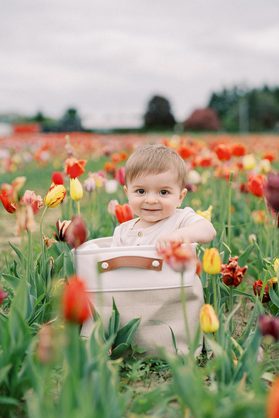 A baby smiles while sitting in a basket amidst a vibrant field of tulips, showcasing a beautiful spring scene.