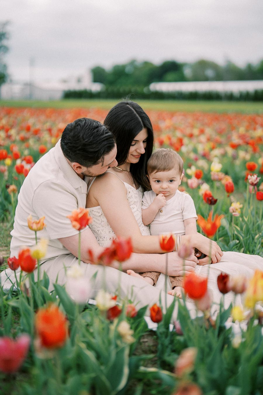 A family enjoys a peaceful moment together in a vibrant tulip field, surrounded by colorful blooms.
