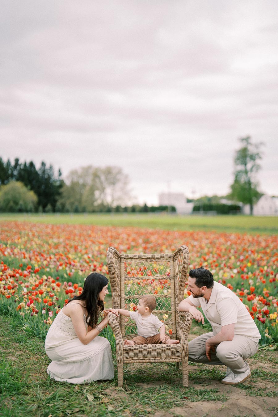 A family enjoys a moment together in a vibrant tulip field, with the baby seated on a wicker chair.