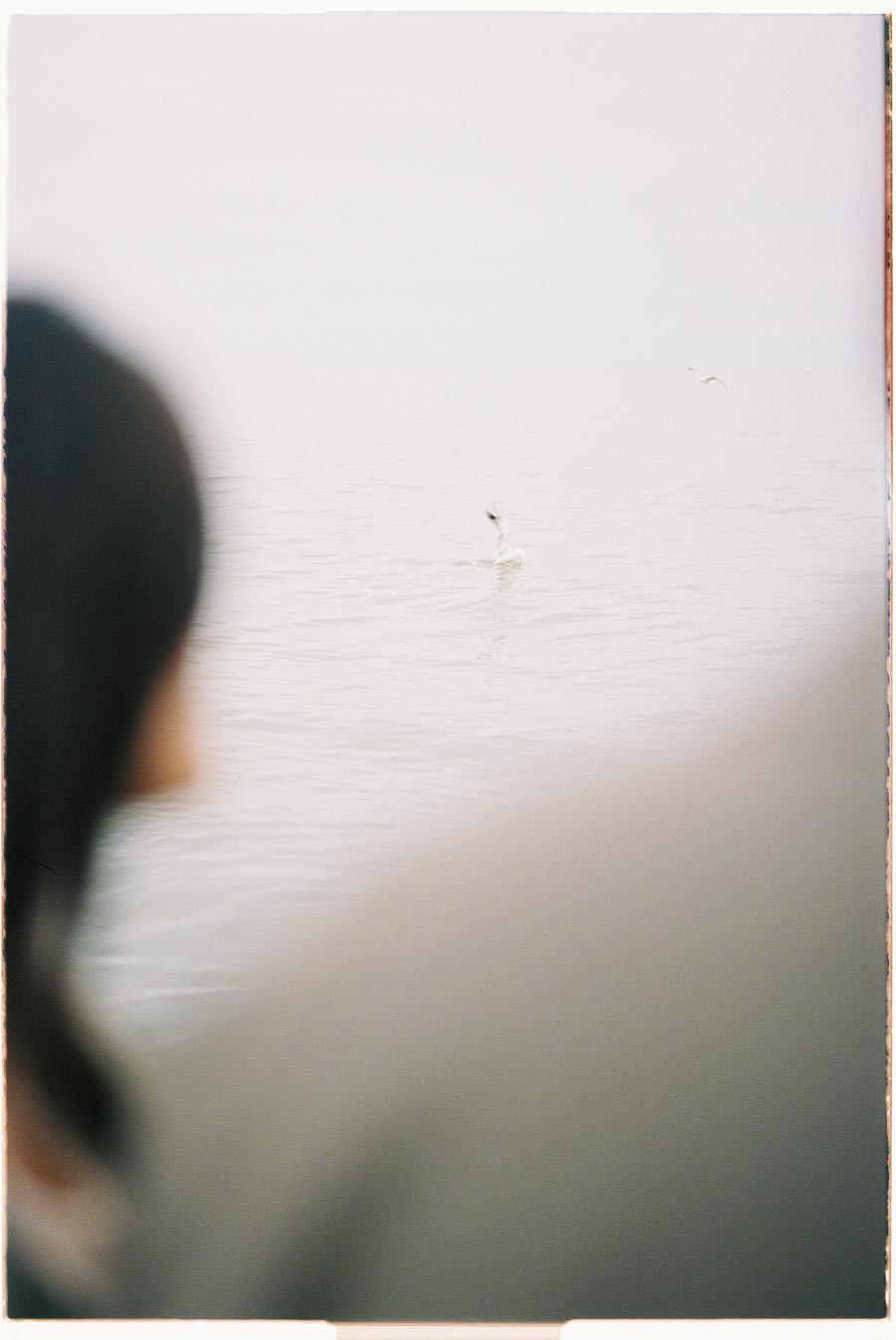 A blurry photograph captures a person in the foreground observing a seagull on a calm body of water.