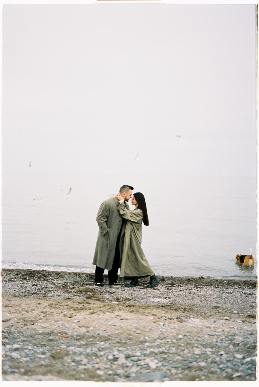A couple shares a romantic moment on a beach, wearing matching trench coats, with seagulls flying around and a dog playing in the water.