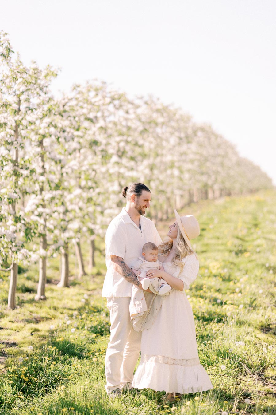 A family enjoys a sunny day in a blooming orchard, surrounded by rows of flowering trees.