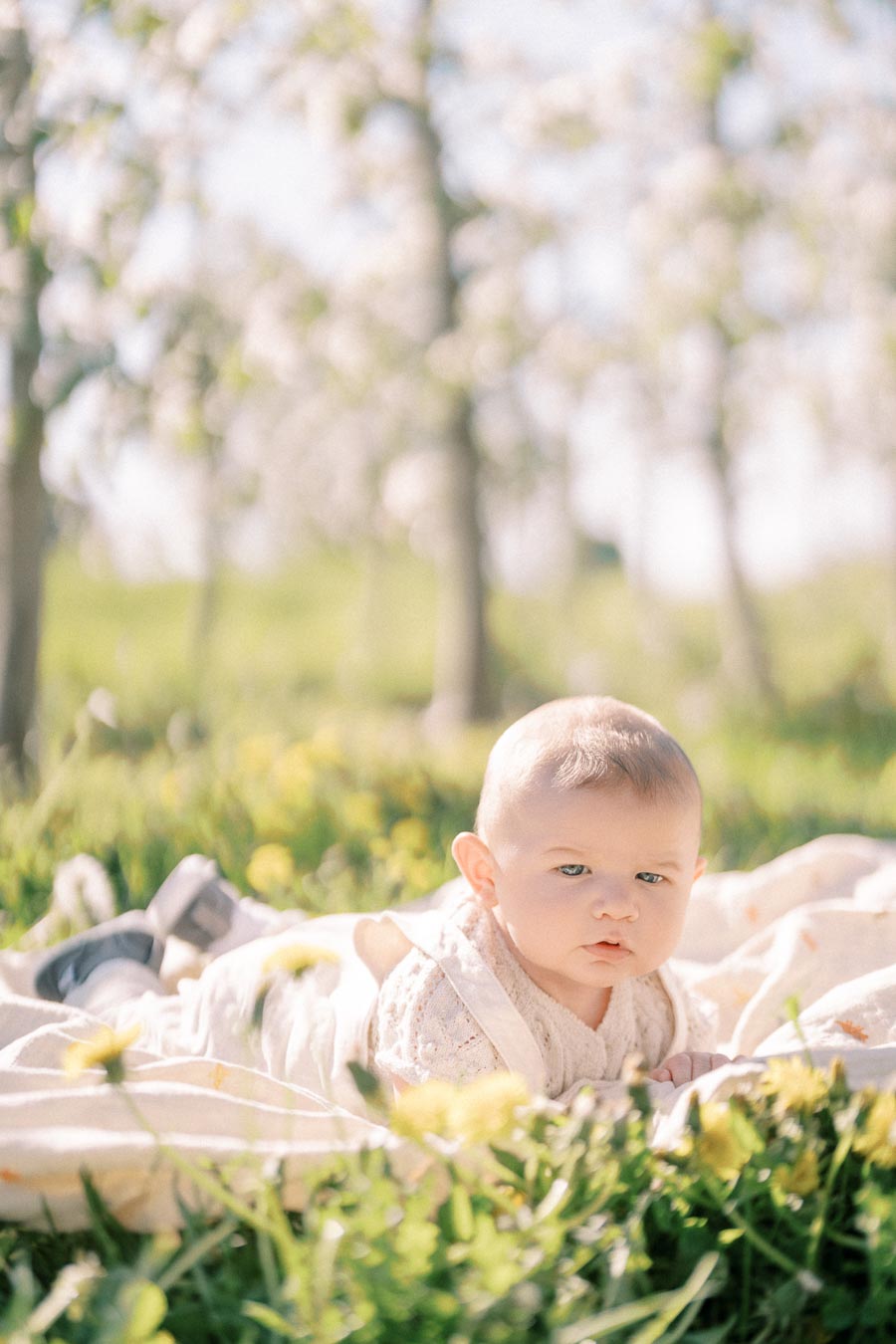 A baby lying on a blanket in a sunny field, surrounded by grass and blooming trees.