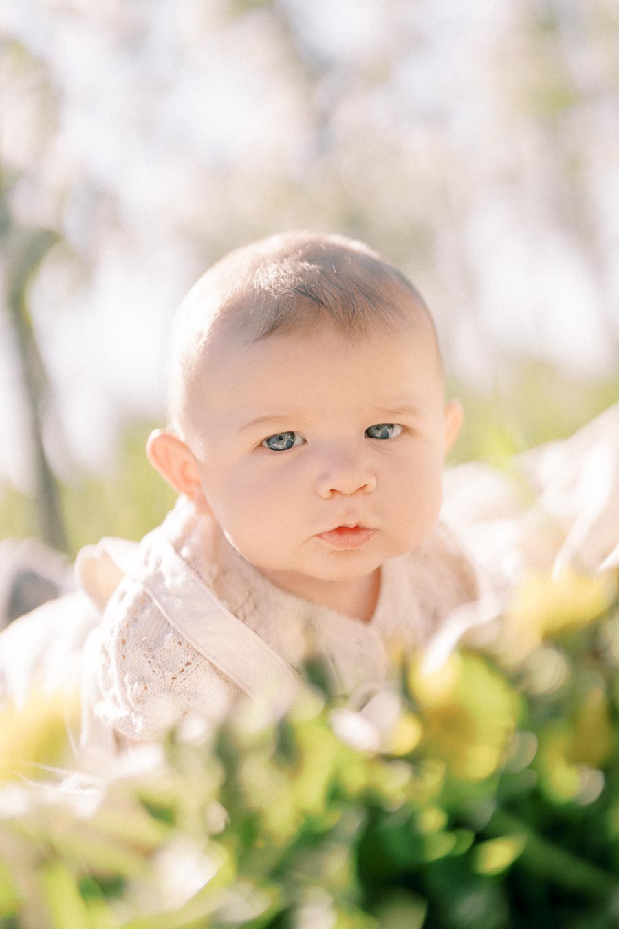 A baby lying on a blanket outdoors, surrounded by soft greenery and sunlight.