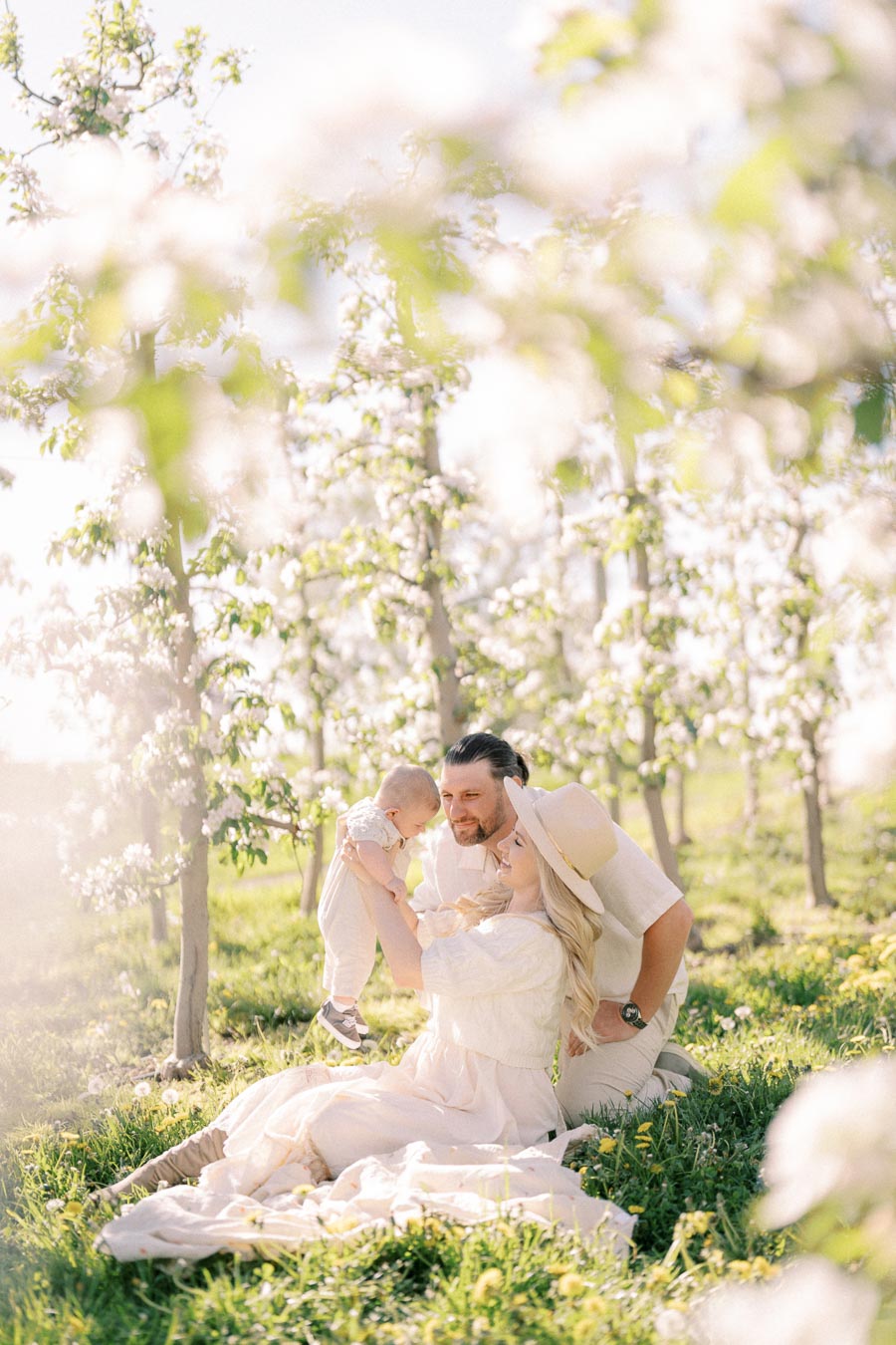 A family enjoys a sunny day in a blooming orchard, surrounded by lush greenery and white blossoms.