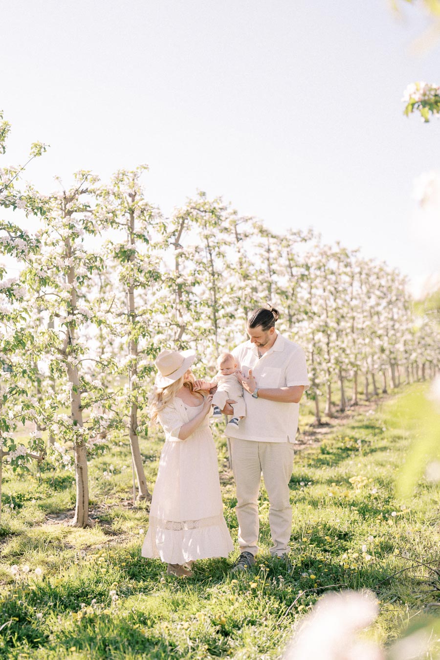 A family enjoys a sunny day in a blooming orchard, surrounded by rows of flowering trees.