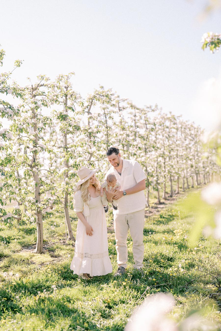 A family enjoys a sunny day in a blooming orchard, capturing a joyful moment with their baby.