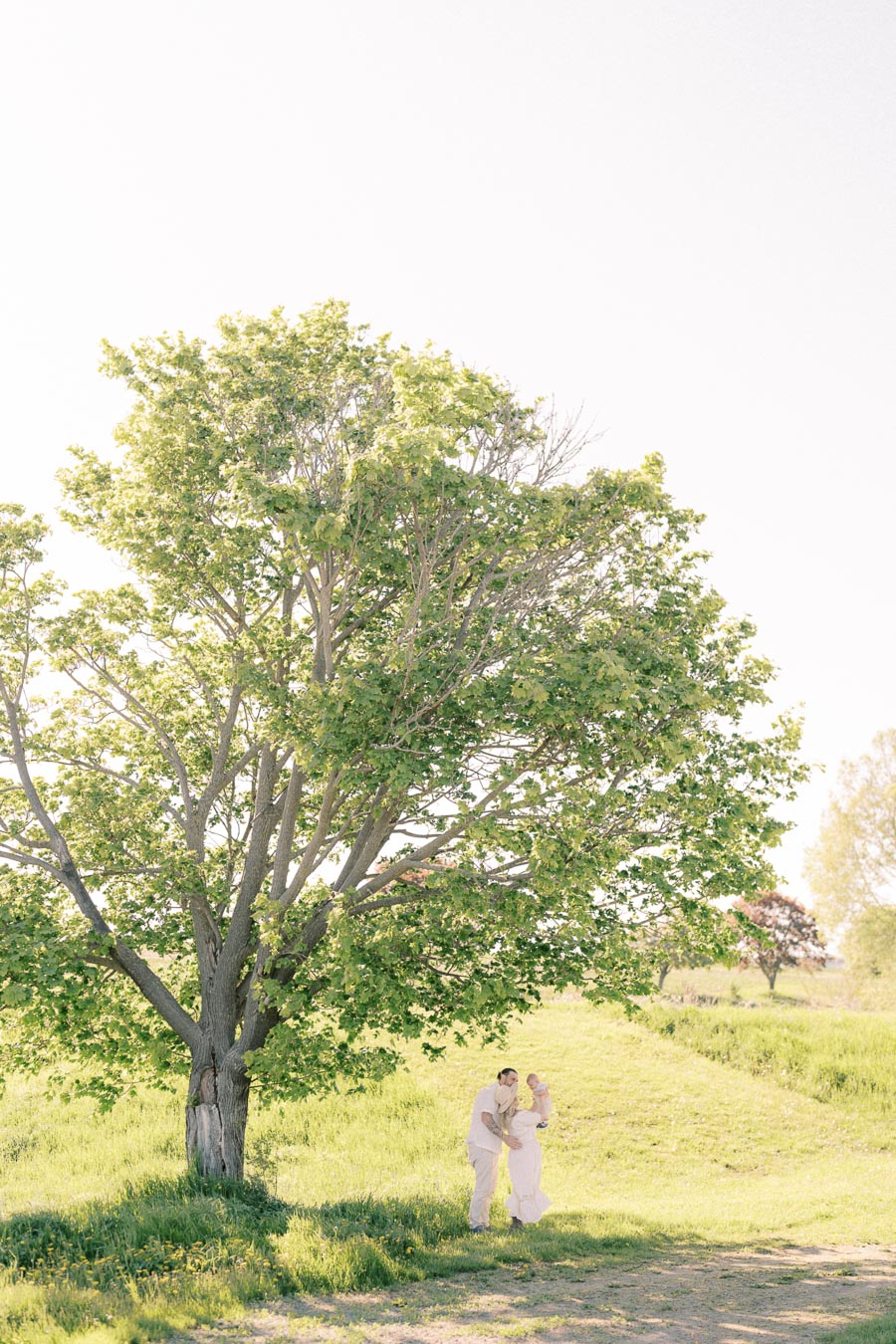 A family enjoys a sunny day under a large tree in a lush green field.