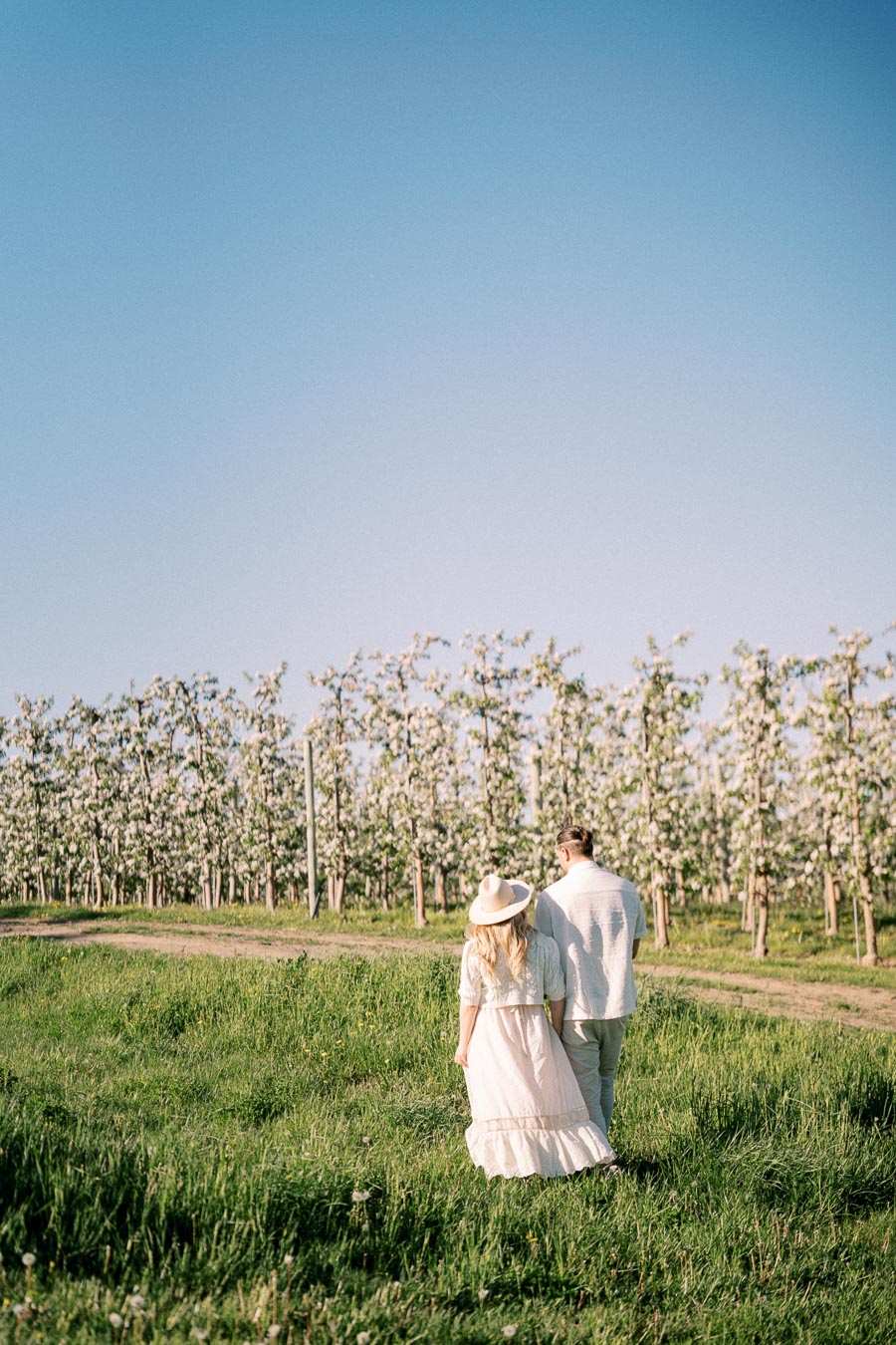 A couple strolls through a lush green field towards a row of blossoming trees, enjoying a sunny day under a clear blue sky.