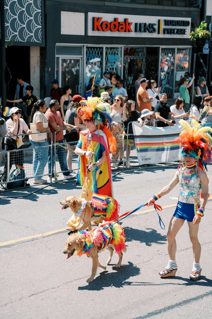 Participants in colorful costumes and dogs in rainbow outfits parade down a street during a lively event, with spectators watching from the sidelines.