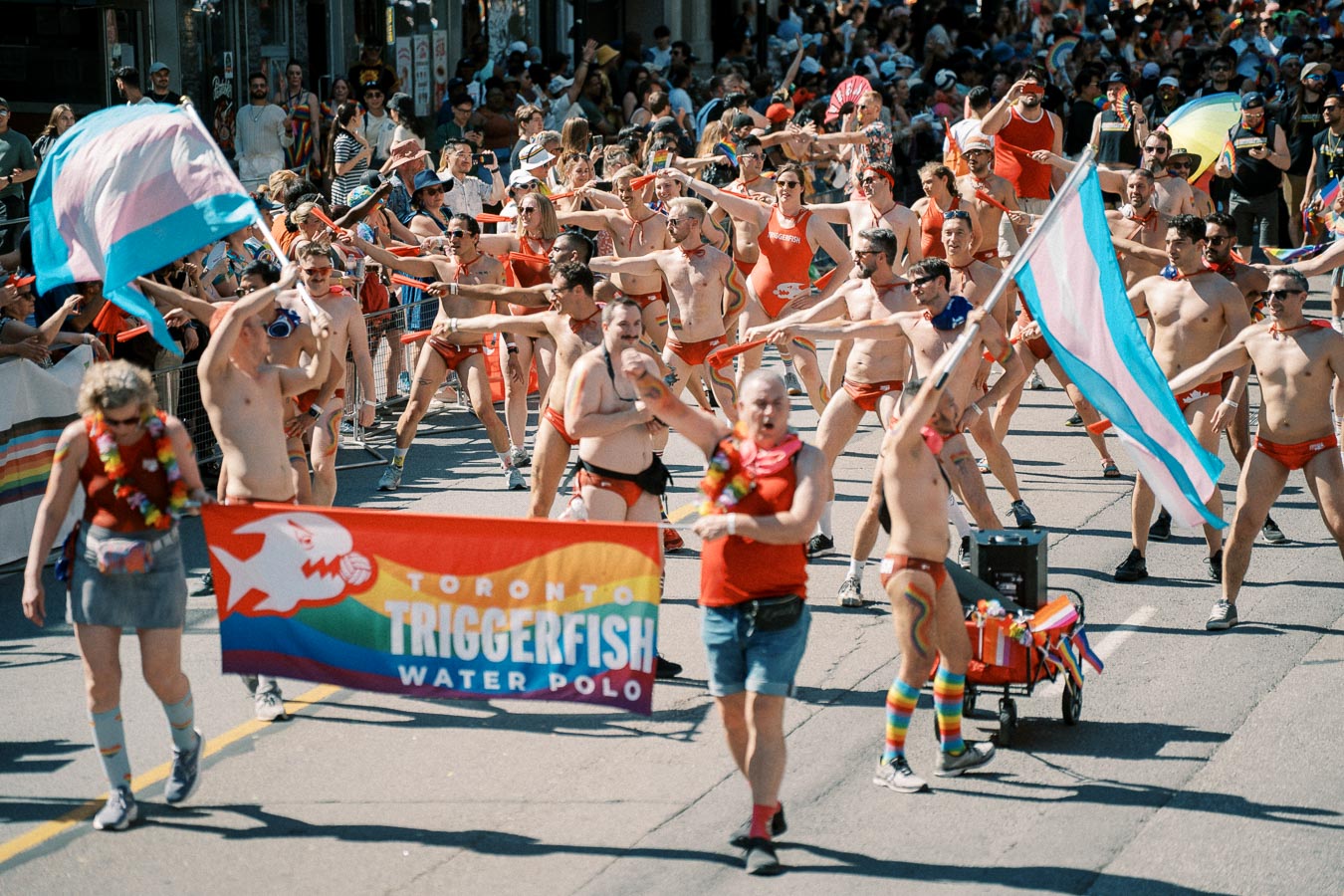 Participants from Toronto Triggerfish Water Polo march in a pride parade, wearing red swimwear and waving flags, including a transgender pride flag.