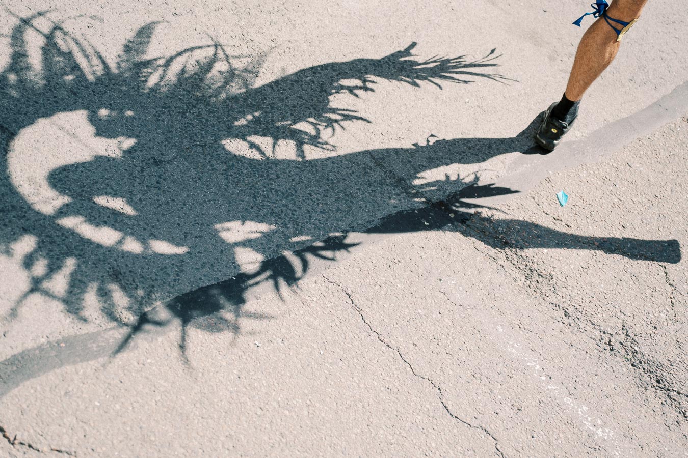 A shadow of a person wearing a feathered costume is cast on a pavement, with one leg visible in the sunlight.