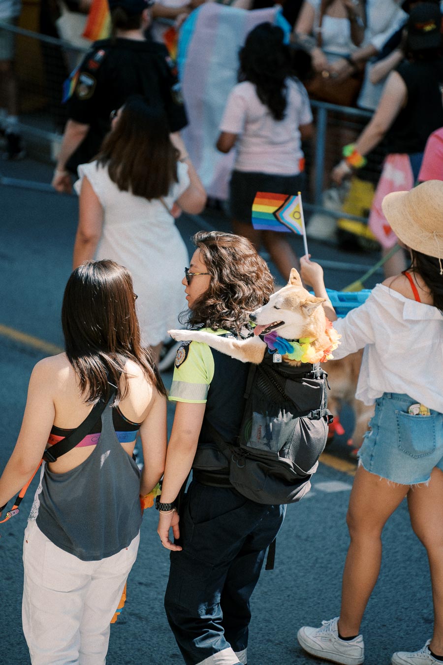 A lively parade scene featuring a dog in a backpack, adorned with a rainbow collar, surrounded by people carrying pride flags.
