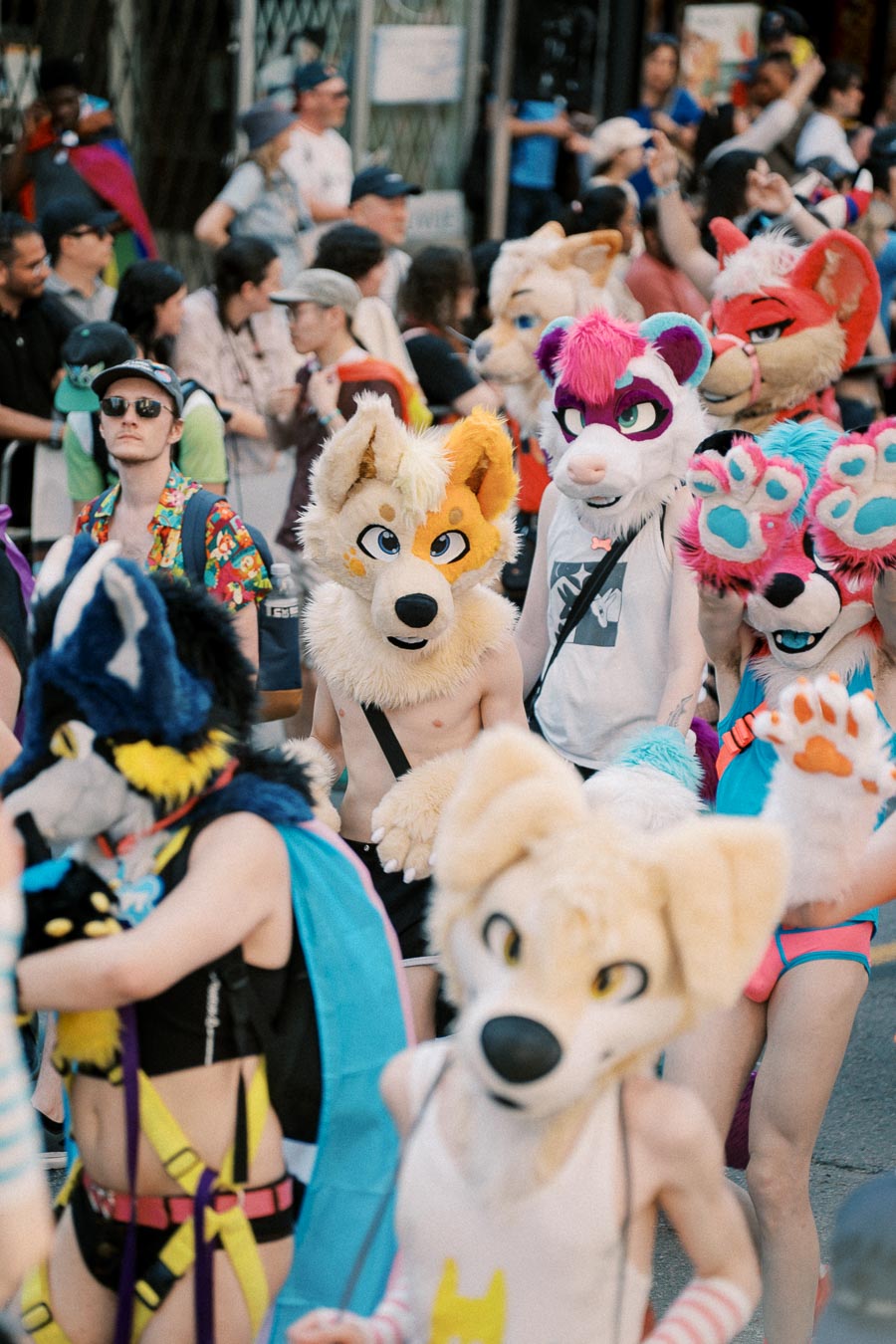 Participants in colorful fursuits at a public event, surrounded by a crowd of spectators.