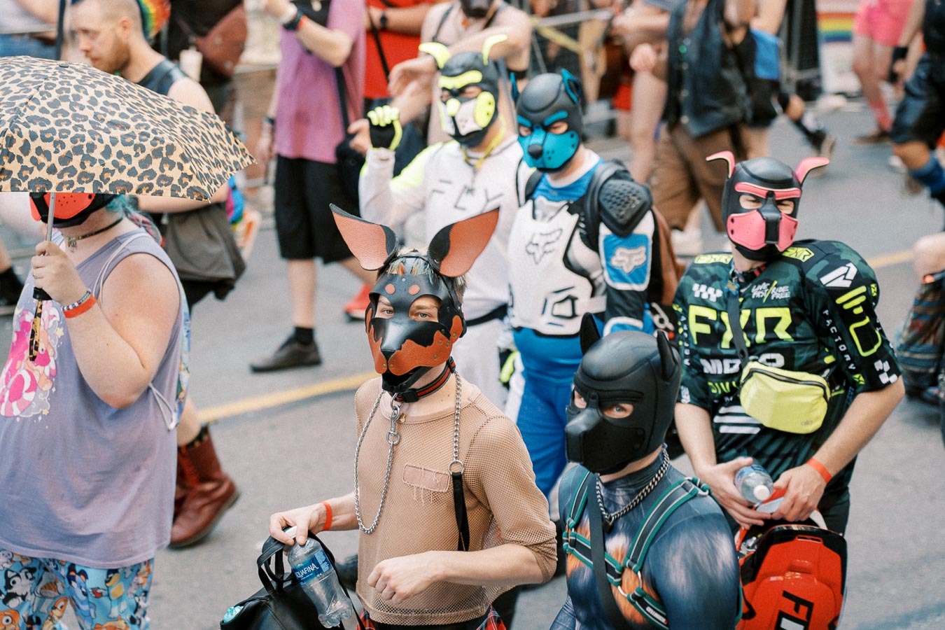 Participants in animal-themed costumes at a street event, showcasing vibrant and creative outfits.