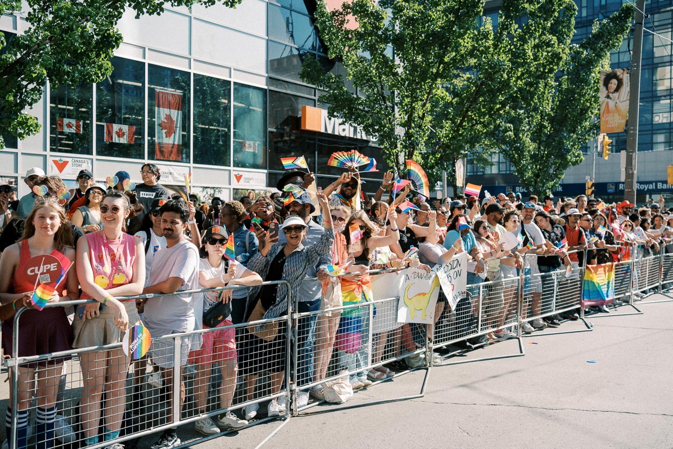 A lively crowd celebrates at a pride parade, waving rainbow flags and showing support for the LGBTQ+ community.