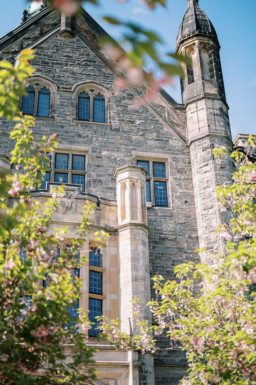Historic stone building with intricate architectural details, partially obscured by blooming trees under a clear blue sky.