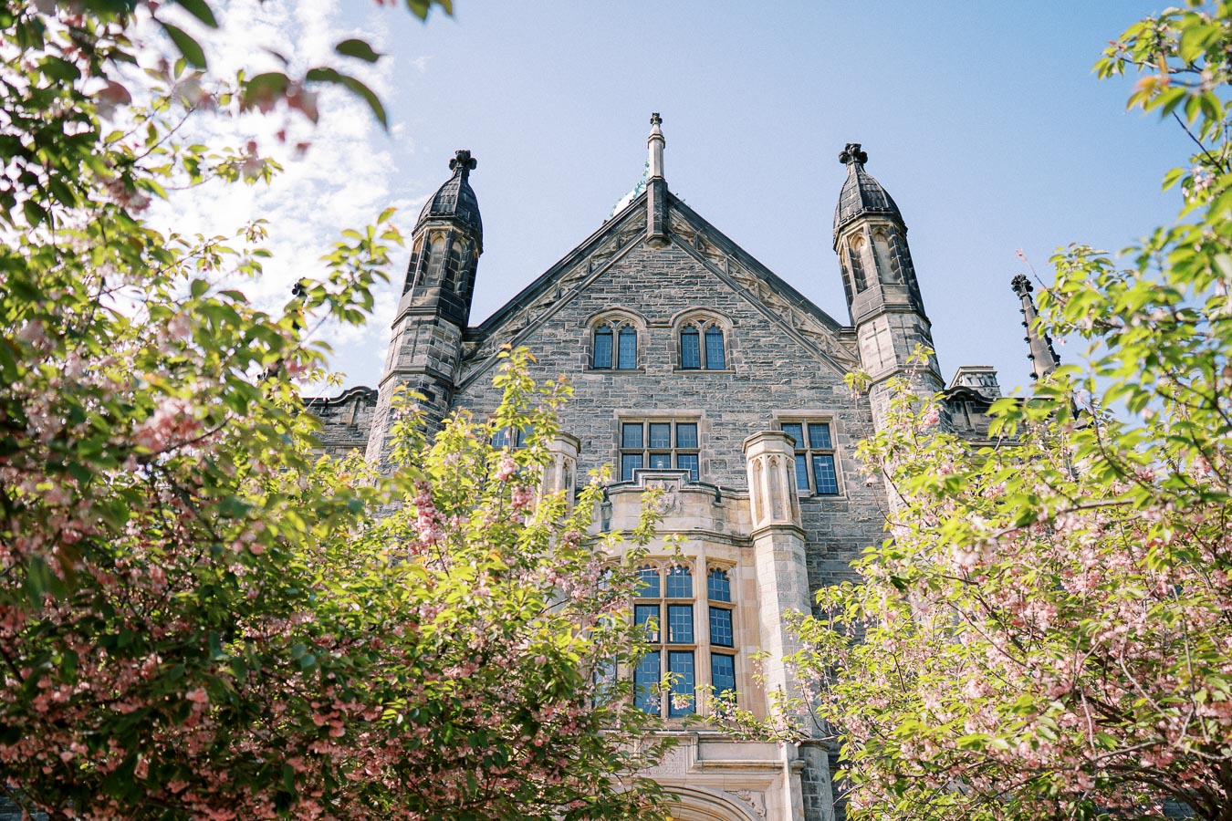 Historic stone building with gothic architecture surrounded by blooming pink cherry blossom trees under a clear blue sky