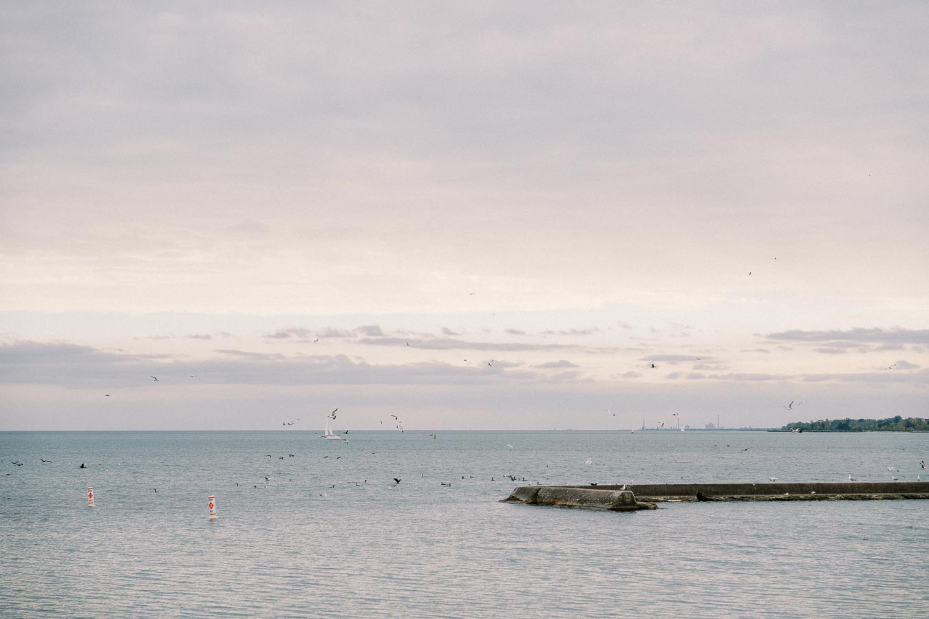 Alt text: Tranquil view of a calm ocean with a distant sailboat and birds flying above, under an overcast sky. A concrete pier extends into the water from the right.