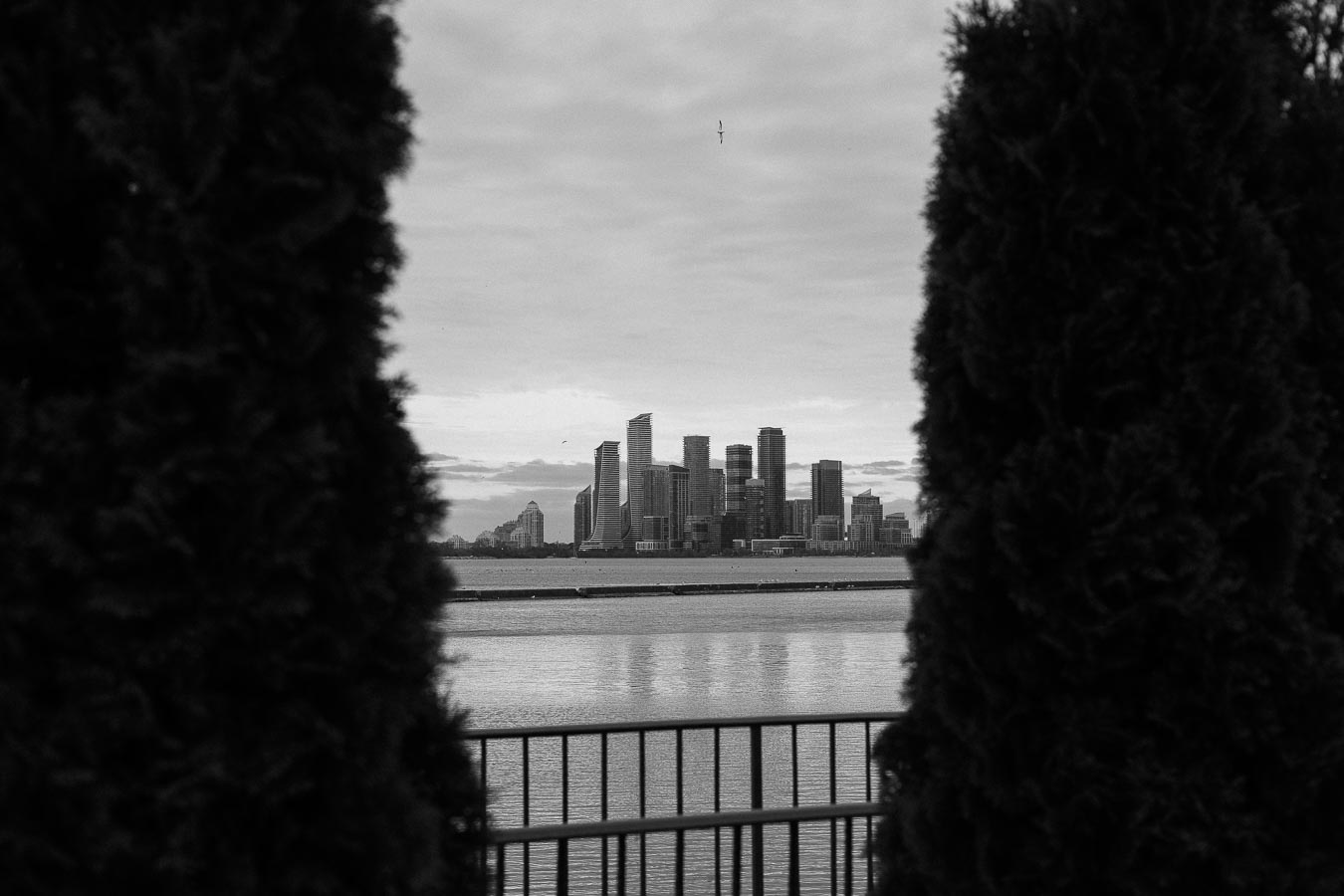 Black and white image of a distant urban skyline framed by trees and a body of water in the foreground.