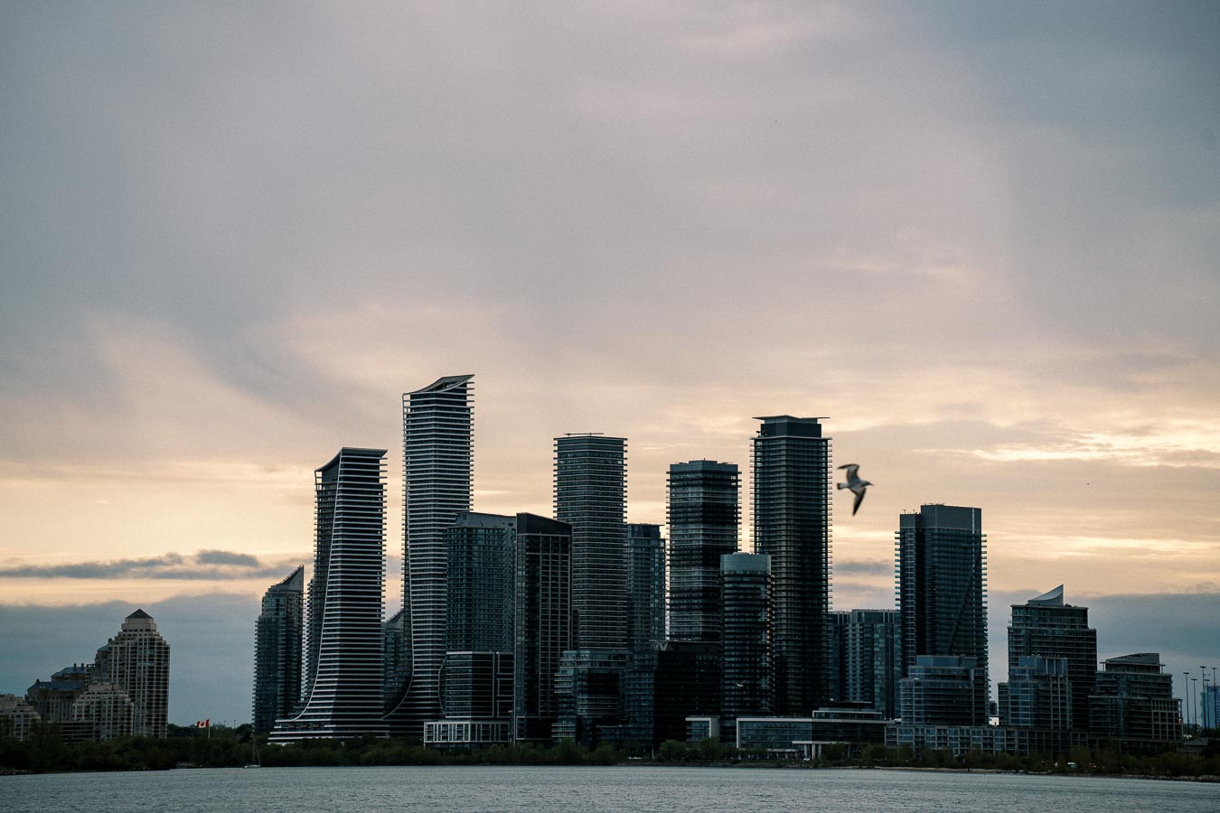 Skyline of modern skyscrapers by the waterfront at dusk, with a bird flying across the cloudy sky.