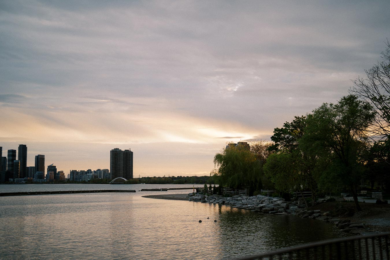 Sunset view of a city skyline by the water, with trees and a rocky shoreline in the foreground, creating a serene urban landscape.