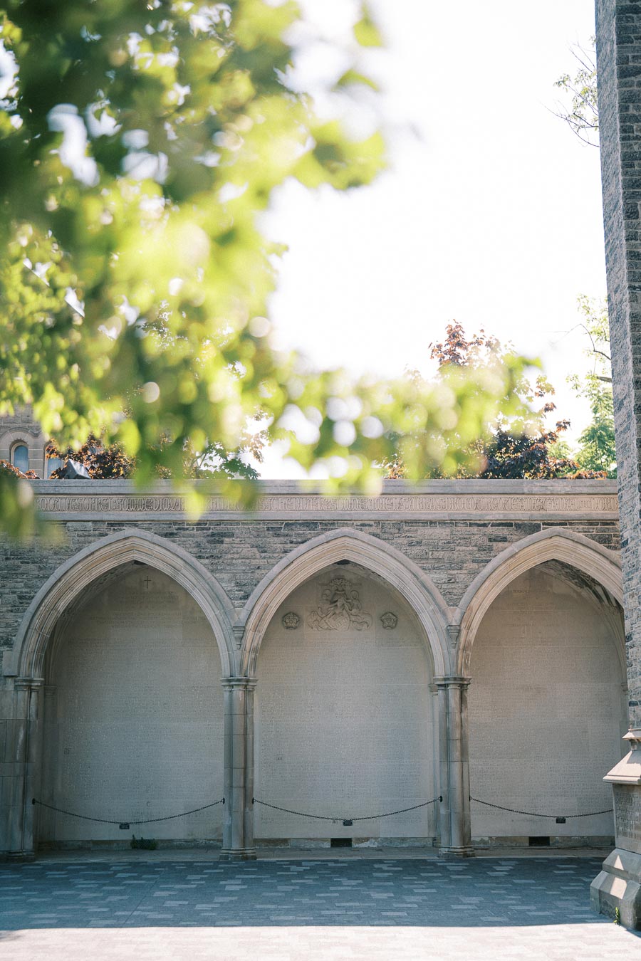 Historic stone arches of Gothic architecture with intricate detailing, partially obscured by lush green foliage, under a bright sky
