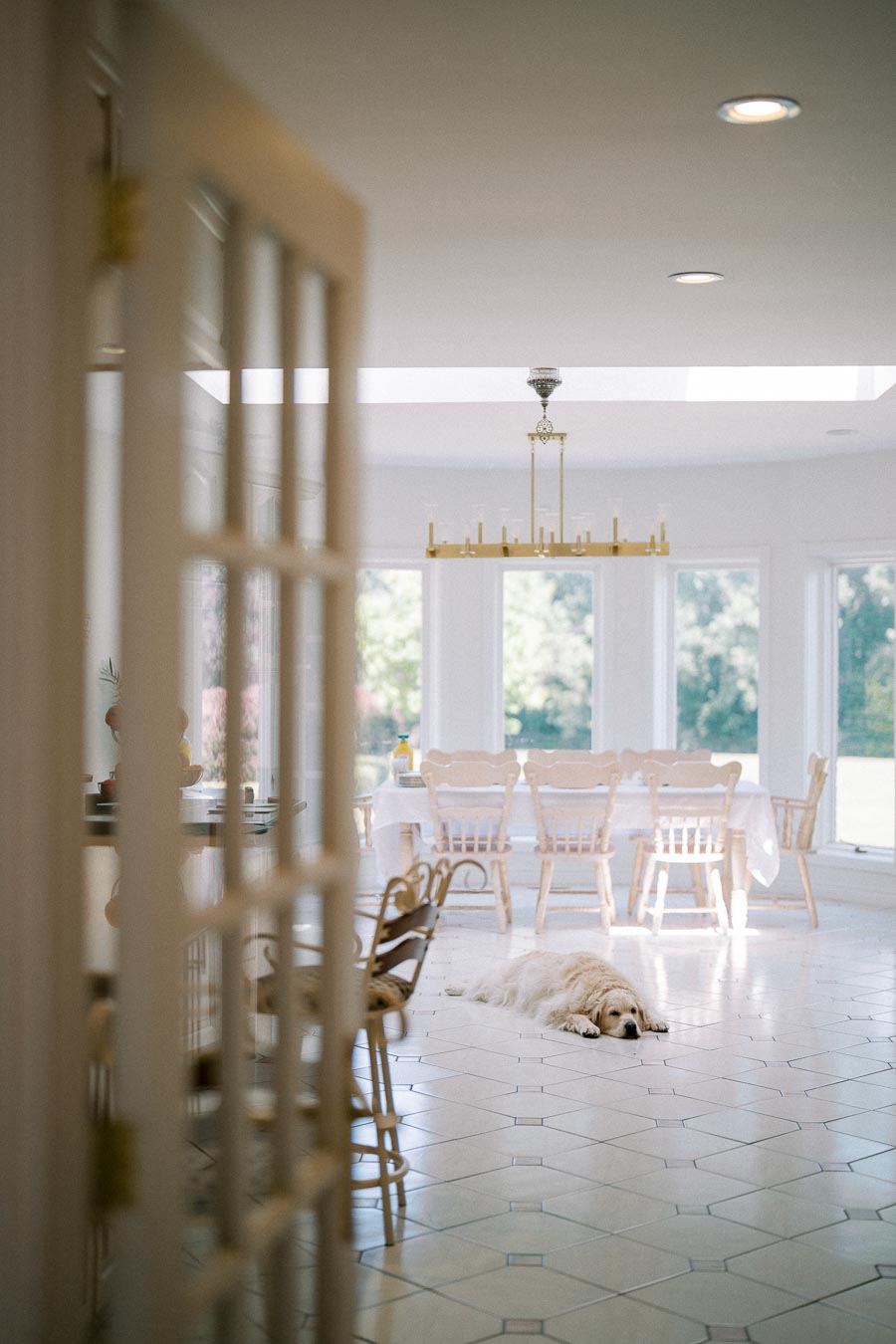 Cozy dining room with large windows and natural light, featuring a white dining table and chairs. A fluffy dog lies on the tiled floor, adding a touch of warmth and comfort to the serene and elegant interior setting.