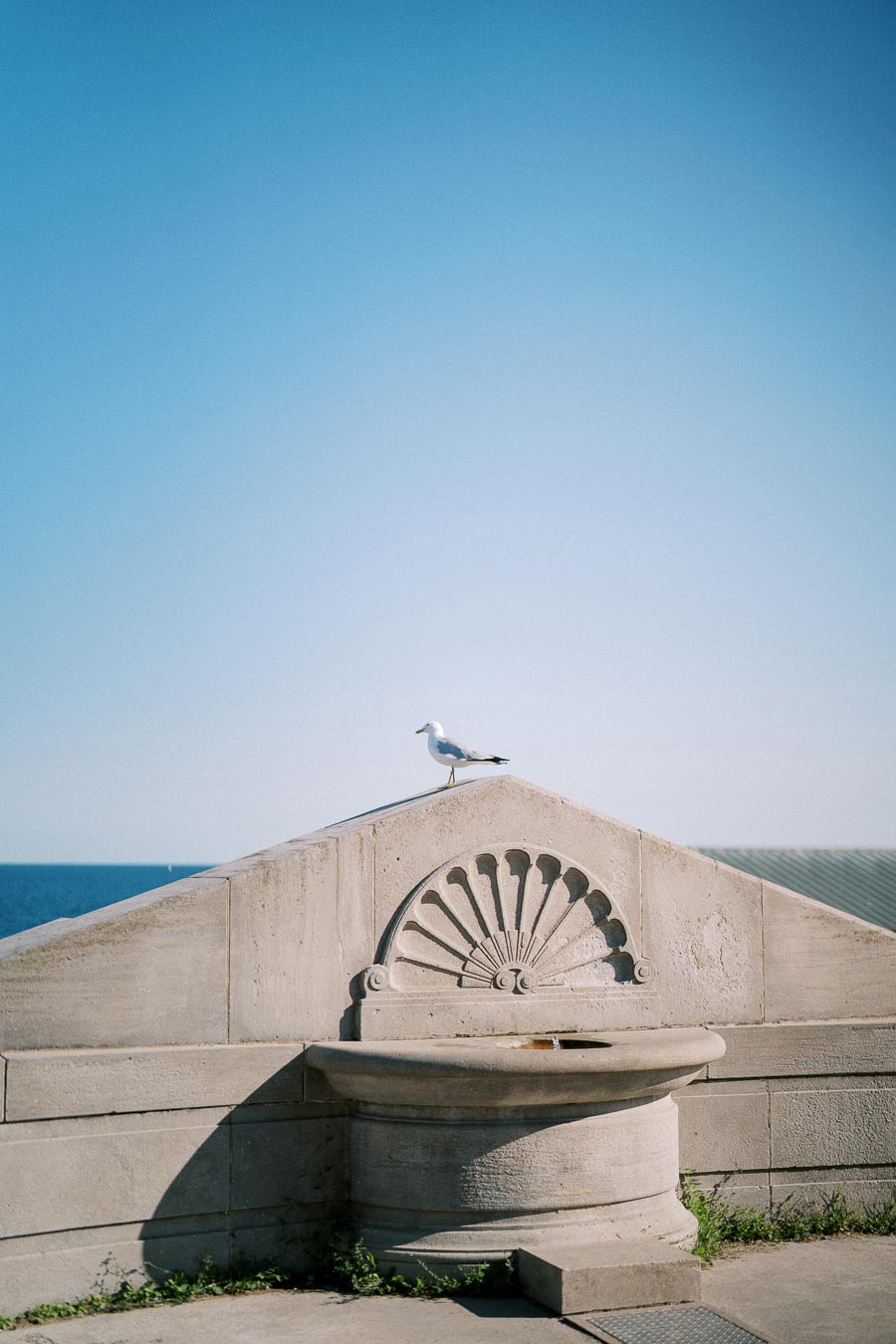 Seagull perched on stone architectural structure with ocean backdrop and clear blue sky.