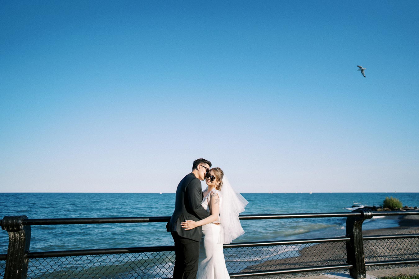 A bride and groom embrace on a beachfront promenade against a clear blue sky, highlighting a scenic ocean view with a seagull flying overhead.