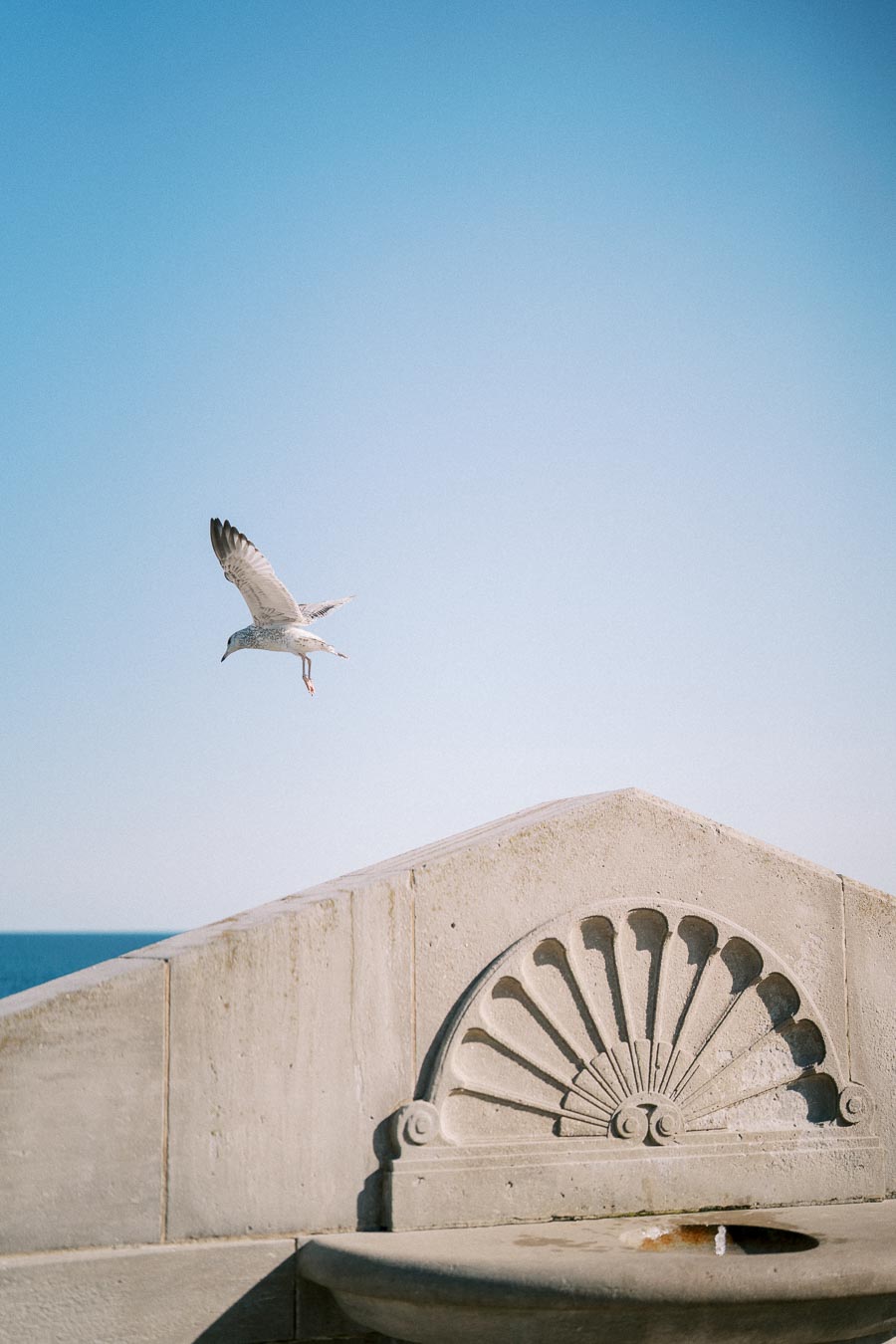 Seagull flying over a decorative stone structure against a clear blue sky.