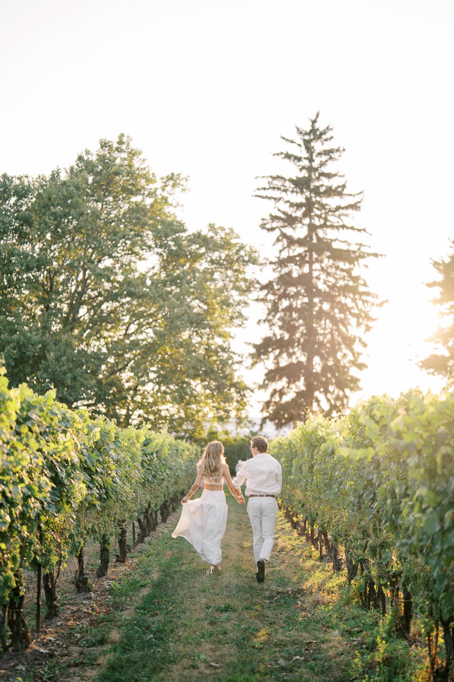 A couple walking hand in hand through a sunlit vineyard, surrounded by rows of lush green grapevines and tall trees, under a clear sky.