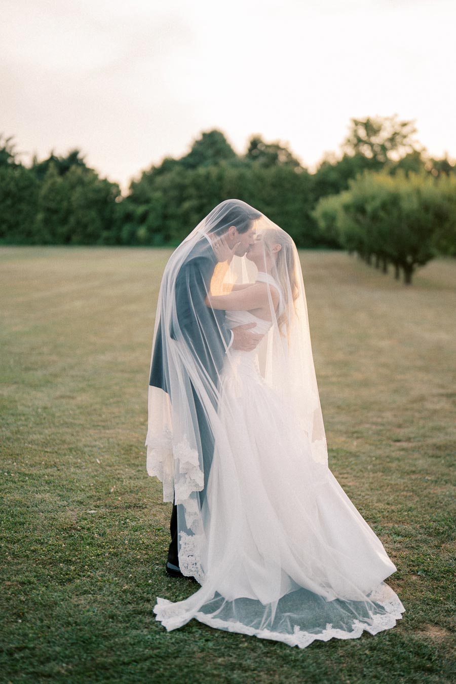 A bride and groom sharing a romantic kiss under a veil in a scenic outdoor setting with lush green trees and grass.