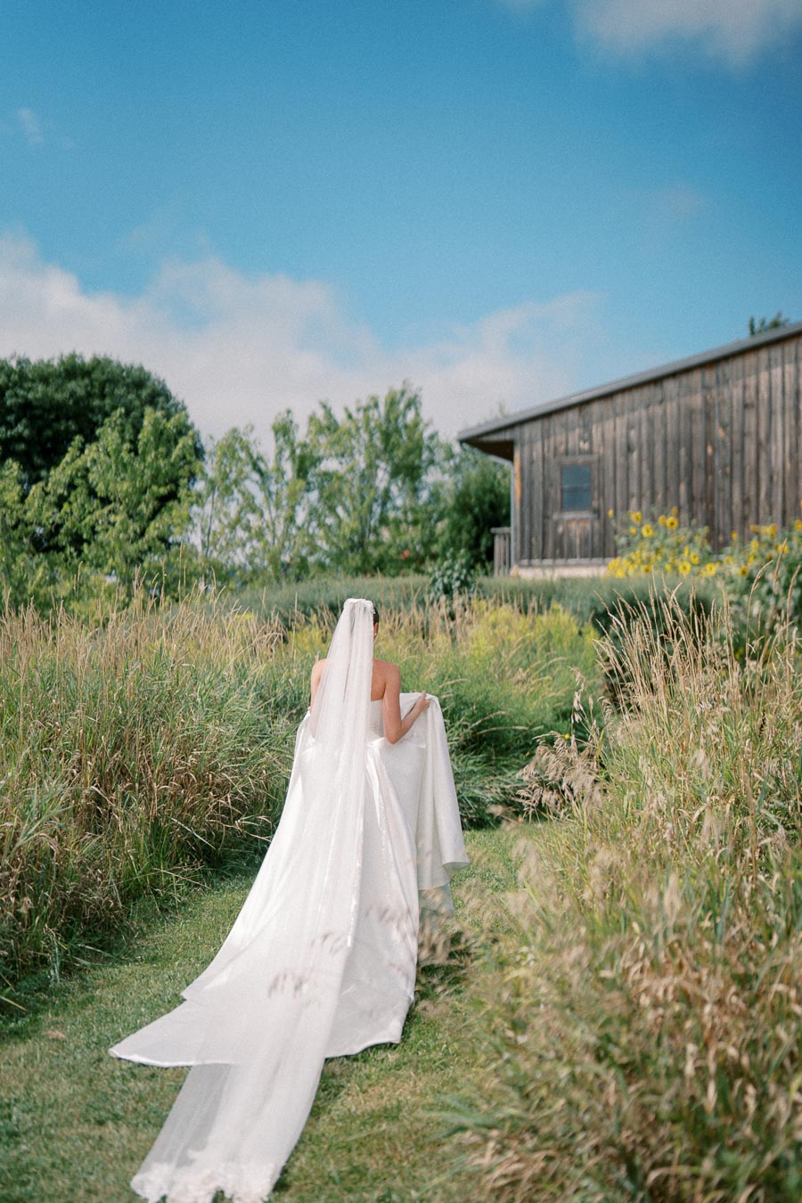 Bridal scene in nature with woman in white wedding dress and veil walking through grassy field towards rustic wooden barn, bright blue sky background.