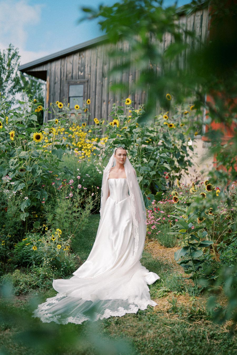 Bridal portrait of a woman in an elegant white gown and veil standing in a lush garden with sunflowers and greenery against the backdrop of a rustic wooden barn.