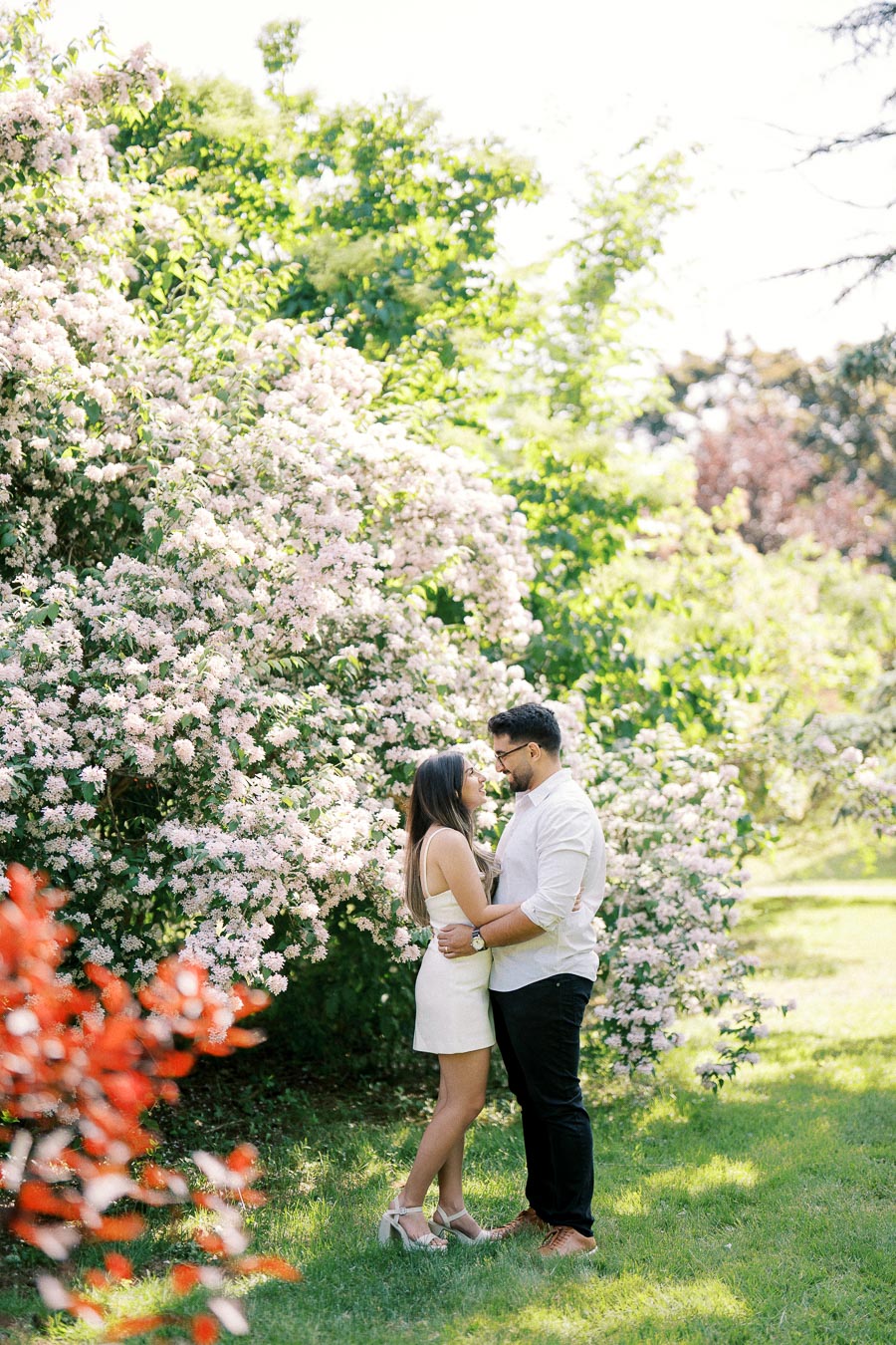 A romantic couple embraces in a lush garden, surrounded by blooming pink flowers and vibrant greenery, enjoying a sunny day outdoors.