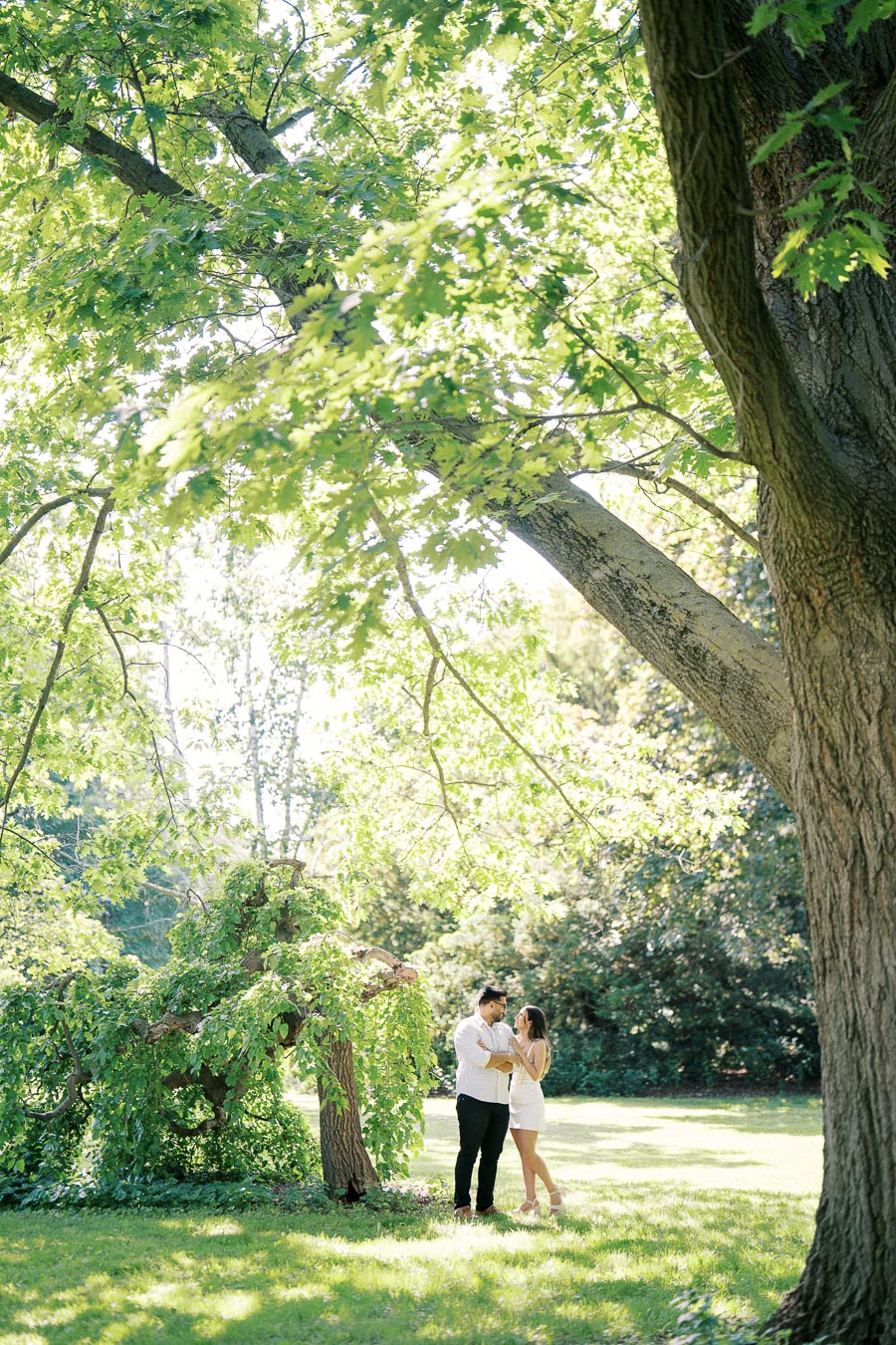 A couple enjoys a romantic moment under a large tree in a sunlit park, surrounded by lush green foliage.