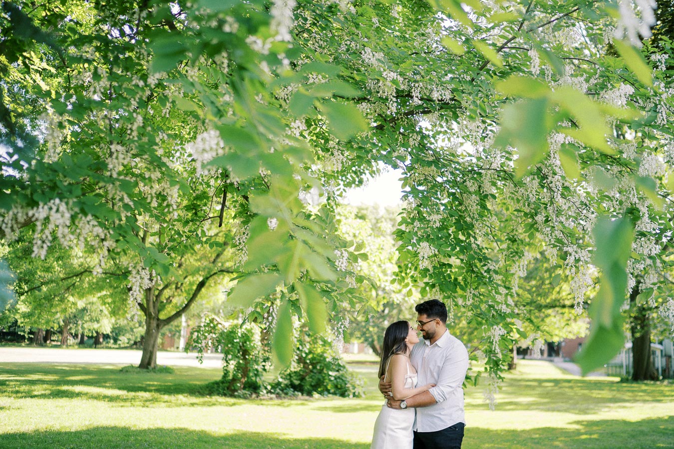 A couple embracing under a lush green tree with small white flowers in a sunlit park.