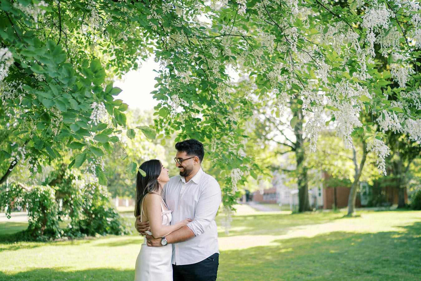A couple embracing lovingly under lush green trees in a sunlit park, surrounded by blooming white flowers.