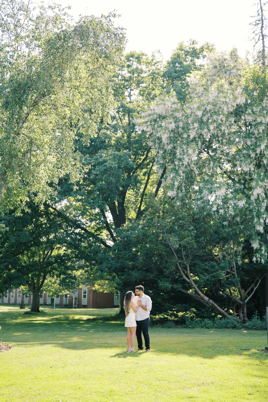 A couple sharing a tender moment in a sunny park surrounded by lush green trees and a grassy lawn.