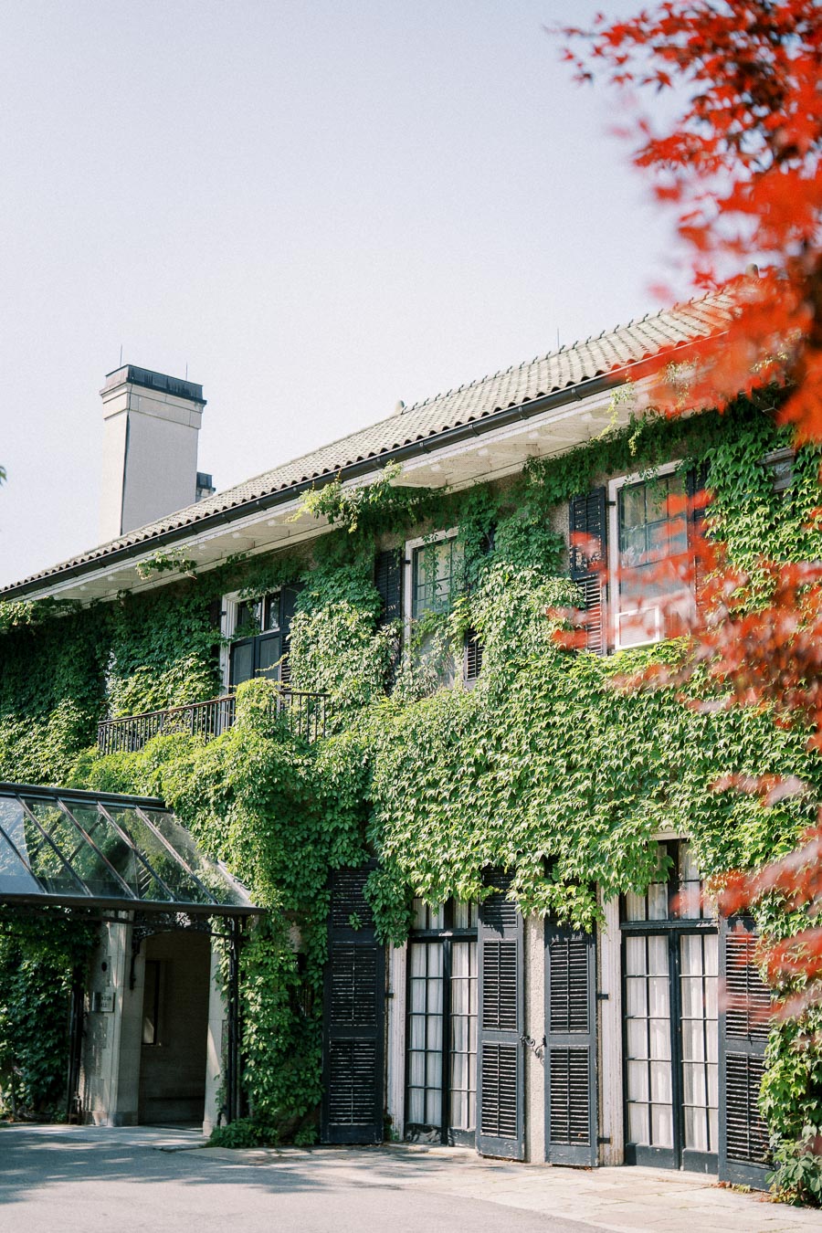 Historic ivy-covered building with black shutters and a glass entrance, surrounded by lush greenery and vibrant red foliage under a clear sky.