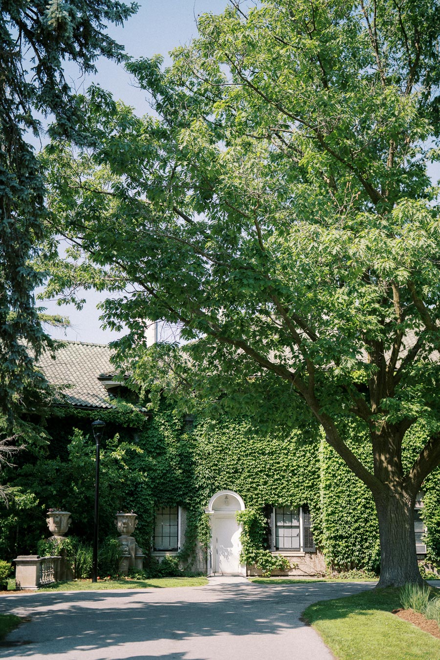 Charming ivy-covered house with white door and large trees during sunny day, creating a picturesque and tranquil setting.
