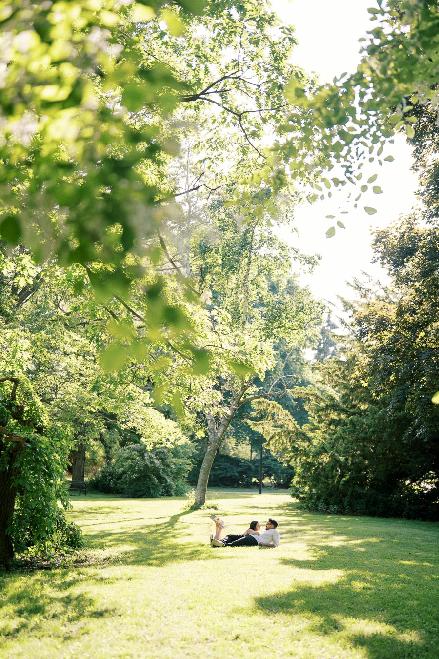 A couple relaxing on the grass under a tree in a sunlit park, surrounded by lush green foliage.