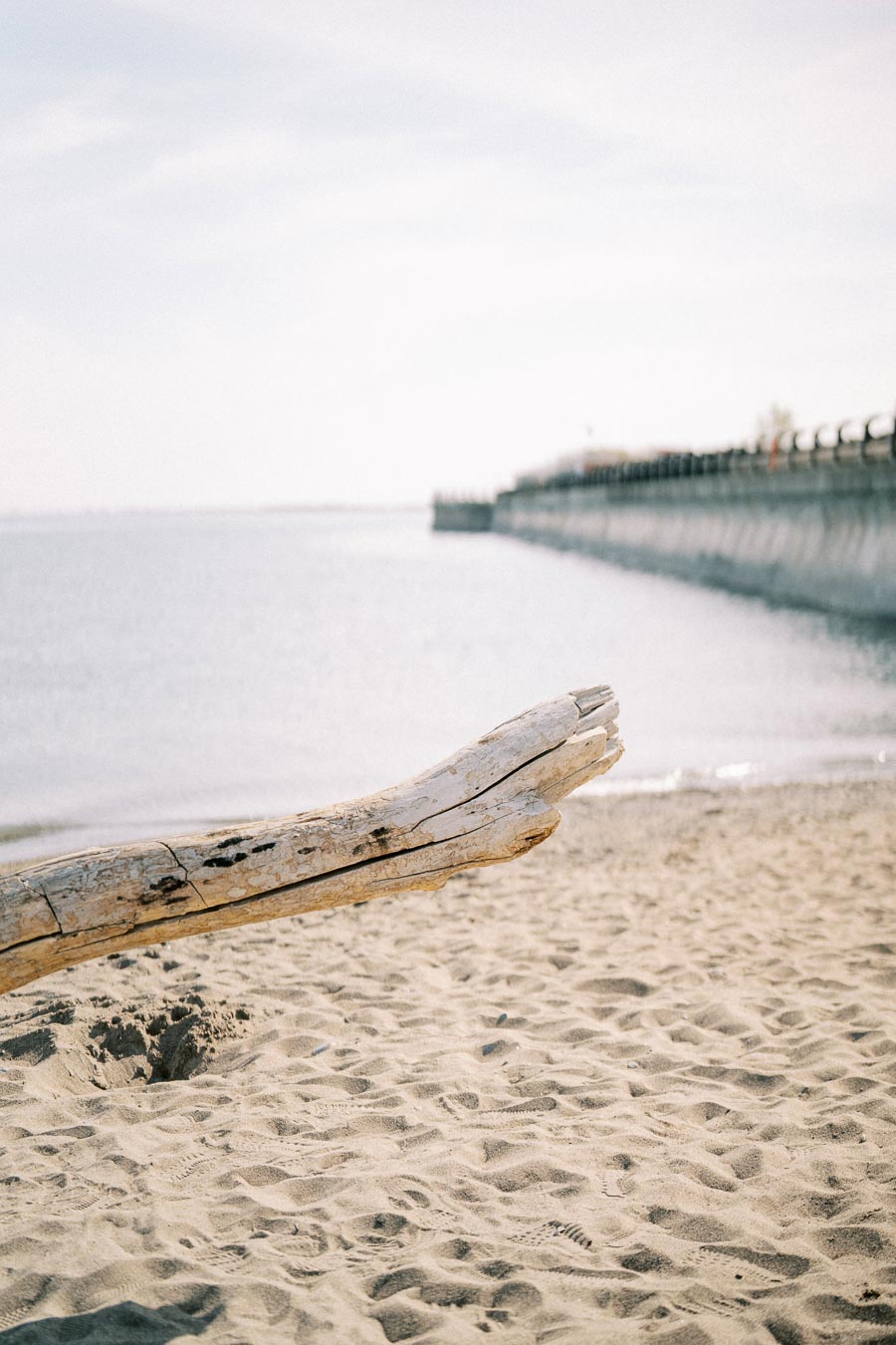 Driftwood log on a sandy beach with a calm ocean and pier in the background on a clear day.
