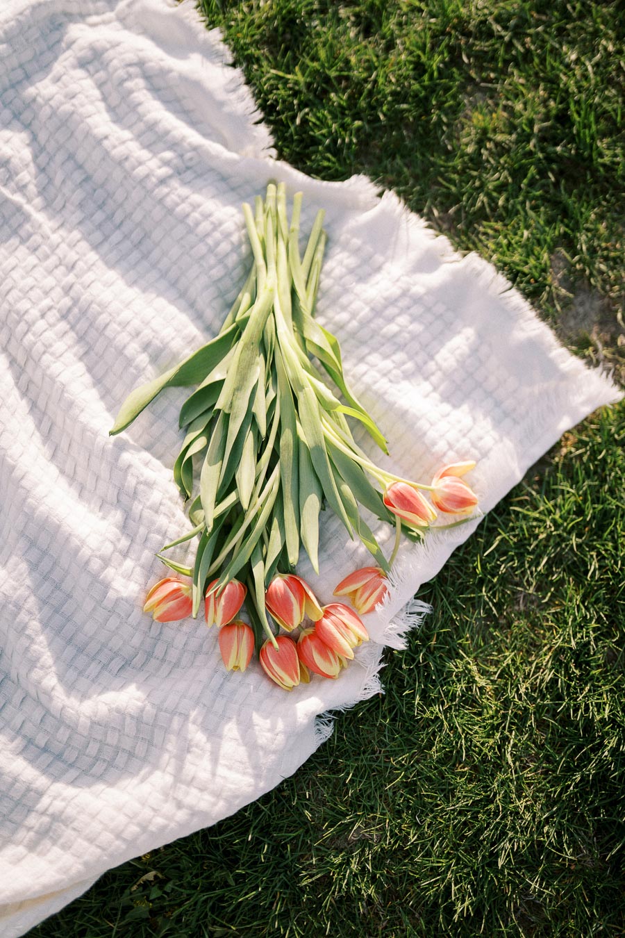 Bouquet of red and yellow tulips resting on a white textured blanket over green grass, capturing a serene outdoor setting.