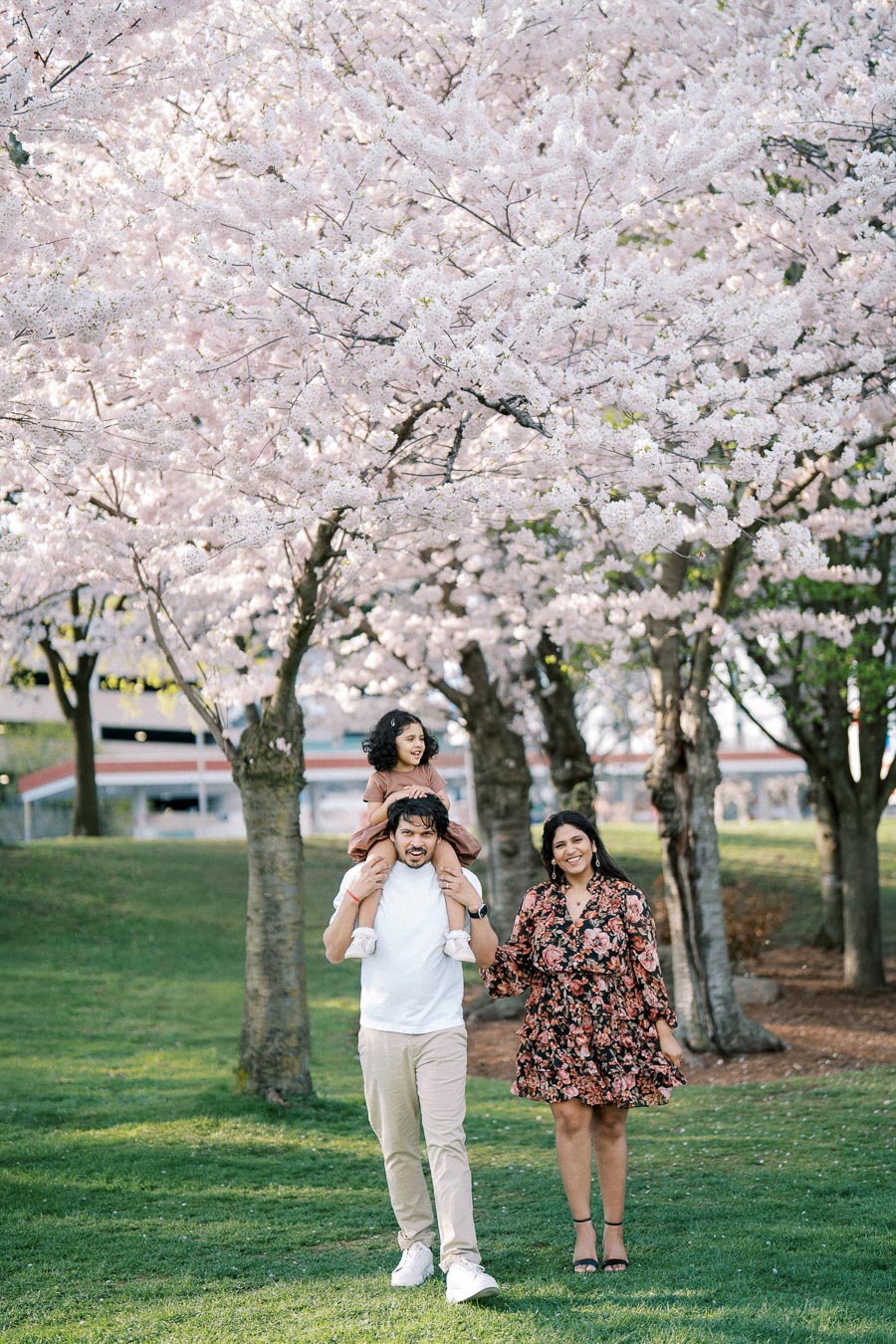 Family enjoying a spring day under cherry blossom trees, with a young child on a parent's shoulders and another parent walking beside them, surrounded by lush green grass.