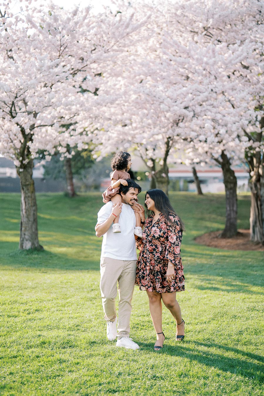 A family enjoying a stroll under cherry blossom trees in a park, with a father carrying a child on his shoulders, and the mother walking beside them, all smiling and dressed in casual spring attire.